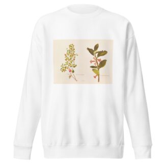 Fushia Procumbens by Georgina Burne Hetley Sweatshirt