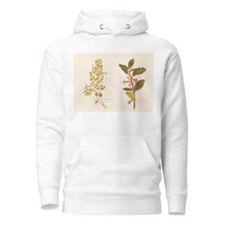 Fushia Procumbens by Georgina Burne Hetley Hoodie