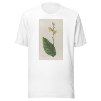 Phytanthoza iconographia Pl.019 by Johann Wilhelm Weinmann T-Shirt