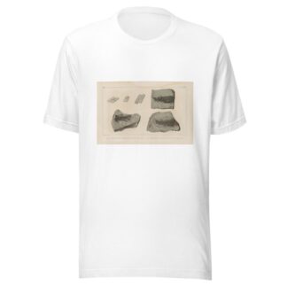 Recherches sur les poissons fossiles Pl.124 by Louis Agassiz T-Shirt