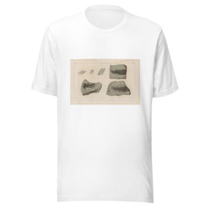 Recherches sur les poissons fossiles Pl.124 by Louis Agassiz T-Shirt