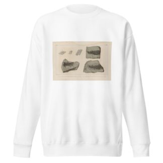 Recherches sur les poissons fossiles Pl.124 by Louis Agassiz Sweatshirt