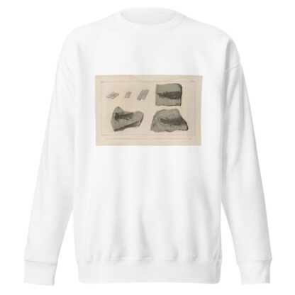 Recherches sur les poissons fossiles Pl.124 by Louis Agassiz Sweatshirt
