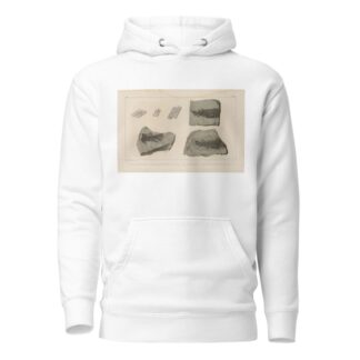Recherches sur les poissons fossiles Pl.124 by Louis Agassiz Hoodie