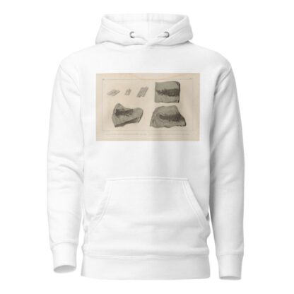 Recherches sur les poissons fossiles Pl.124 by Louis Agassiz Hoodie