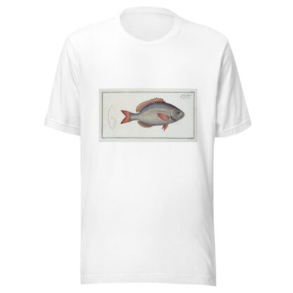 Sparus Brama by Marcus Elieser Bloch T-Shirt