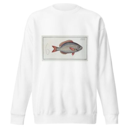 Sparus Brama by Marcus Elieser Bloch Sweatshirt