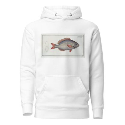 Sparus Brama by Marcus Elieser Bloch Hoodie