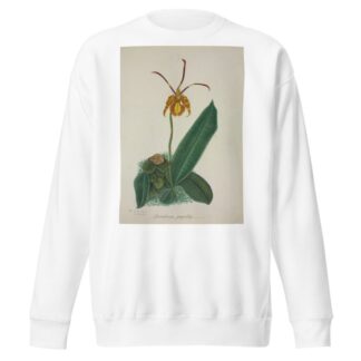 Mon Jardin a Ceylan Pl.024 by George De Alwis Sweatshirt