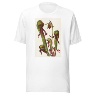 California Pitcherplant. Chrysamphora californica by Mary Vaux Walcott T-Shirt