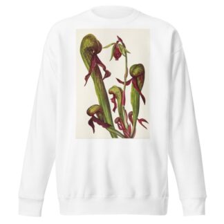 California Pitcherplant. Chrysamphora californica by Mary Vaux Walcott Sweatshirt