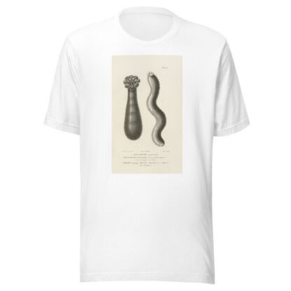 Centurie zoologique Pl.46 by René-Primevère Lesson T-Shirt