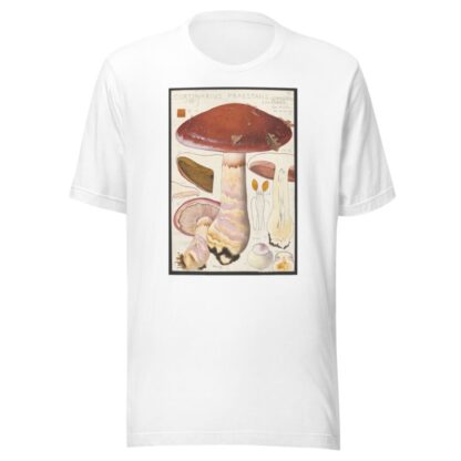 Cortinarius praestans by Hans Walty T-Shirt