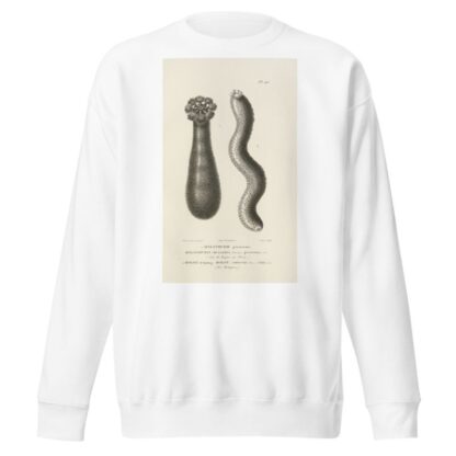 Centurie zoologique Pl.46 by René-Primevère Lesson Sweatshirt