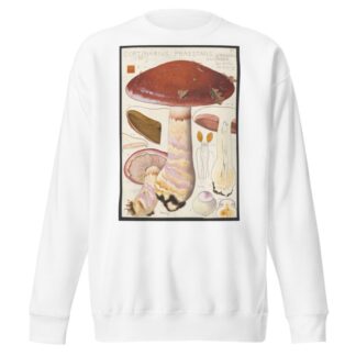 Cortinarius praestans by Hans Walty Sweatshirt