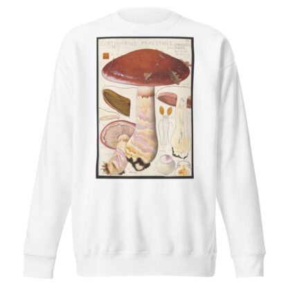 Cortinarius praestans by Hans Walty Sweatshirt