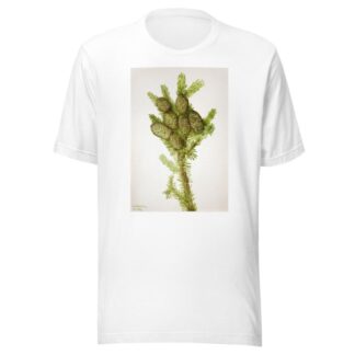 Balsam Fir by Mary Vaux Walcott T-Shirt