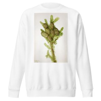 Balsam Fir by Mary Vaux Walcott Sweatshirt