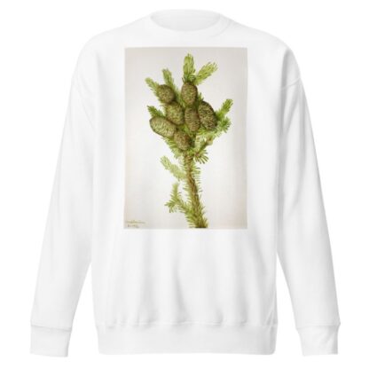 Balsam Fir by Mary Vaux Walcott Sweatshirt