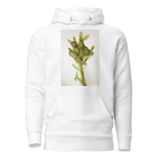 Balsam Fir by Mary Vaux Walcott Hoodie