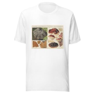 Polystictus fomentarius, Placodes ungulatus by Hans Walty T-Shirt