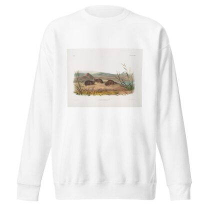 Arvicola borealis, Northern Meadow-Mouse. Natural size. by John Woodhouse Audubon Sweatshirt