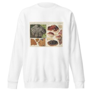 Polystictus fomentarius, Placodes ungulatus by Hans Walty Sweatshirt
