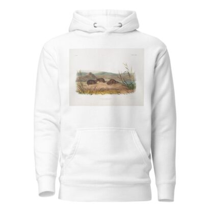 Arvicola borealis, Northern Meadow-Mouse. Natural size. by John Woodhouse Audubon Hoodie