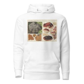 Polystictus fomentarius, Placodes ungulatus by Hans Walty Hoodie
