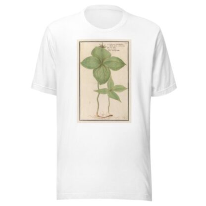Eenbes by Anselmus Boëtius de Boodt T-Shirt
