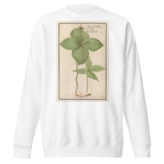 Eenbes by Anselmus Boëtius de Boodt Sweatshirt