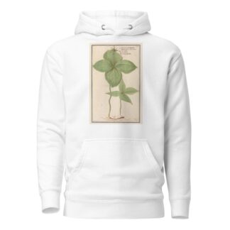 Eenbes by Anselmus Boëtius de Boodt Hoodie