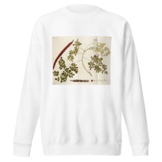 Guilandina moringa by Nikolaus Joseph Freiherr von Jacquin Sweatshirt