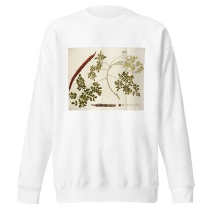 Guilandina moringa by Nikolaus Joseph Freiherr von Jacquin Sweatshirt