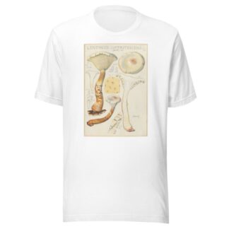 Lentinus suffrutescens by Hans Walty T-Shirt