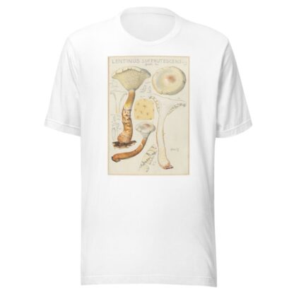 Lentinus suffrutescens by Hans Walty T-Shirt