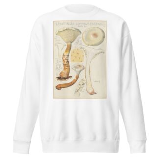 Lentinus suffrutescens by Hans Walty Sweatshirt