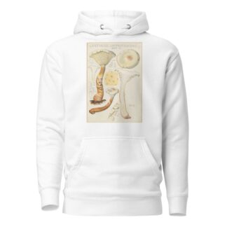 Lentinus suffrutescens by Hans Walty Hoodie