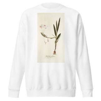 Gladiolus tubatus by Nikolaus Joseph Freiherr von Jacquin Sweatshirt