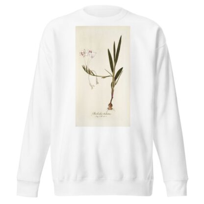 Gladiolus tubatus by Nikolaus Joseph Freiherr von Jacquin Sweatshirt
