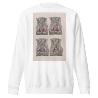 Surgical anatomy Pl.43 by Joseph Maclise Sweatshirt