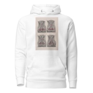 Surgical anatomy Pl.43 by Joseph Maclise Hoodie
