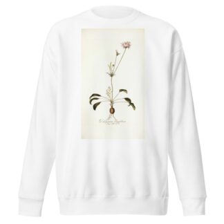 Pelargonium longifolium by Nikolaus Joseph Freiherr von Jacquin Sweatshirt