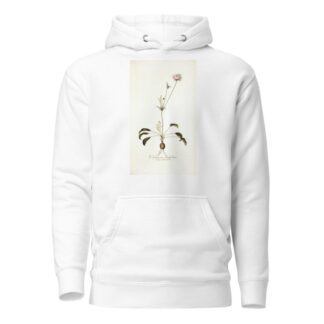 Pelargonium longifolium by Nikolaus Joseph Freiherr von Jacquin Hoodie