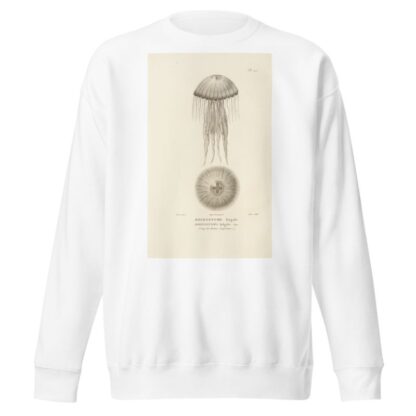 Centurie zoologique Pl.25 by René-Primevère Lesson Sweatshirt