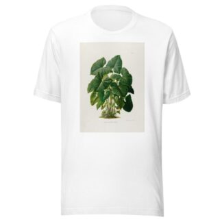 Aroideae Maximilianae Pl.31 by Heinrich Wilhelm Schott T-Shirt