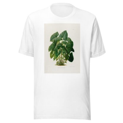 Aroideae Maximilianae Pl.31 by Heinrich Wilhelm Schott T-Shirt