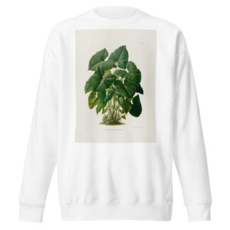 Aroideae Maximilianae Pl.31 by Heinrich Wilhelm Schott Sweatshirt