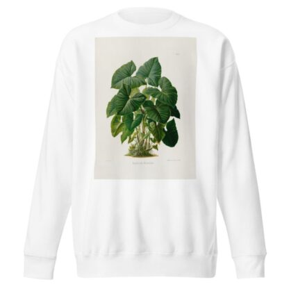 Aroideae Maximilianae Pl.31 by Heinrich Wilhelm Schott Sweatshirt