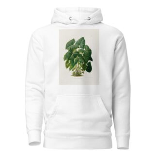 Aroideae Maximilianae Pl.31 by Heinrich Wilhelm Schott Hoodie